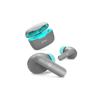 pTron Bassbuds Duo in-Ear Wireless Earbuds, Immersive Sound, 32Hrs Playtime, Clear Calls Tws Earbuds, Bluetooth V5.1 Headphones, Type-C Fast Charging, Voice Assistant & Ipx4 Water Resistant (Grey)